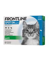 FRONTLINE SPOT-ON GATTI*soluz 4 pipette 0,5 ml 50 mg
