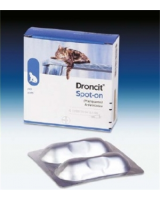 DRONCIT SPOT-ON*soluz 4 tubetti 0,5 ml 20 mg