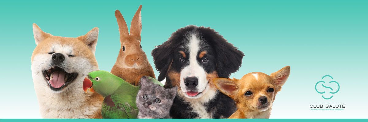 farmacia veterinaria online